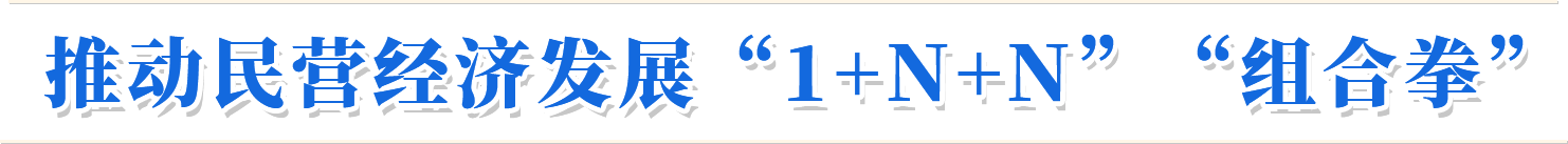 推动民营经济高质量发展“1+N+N””组合拳“